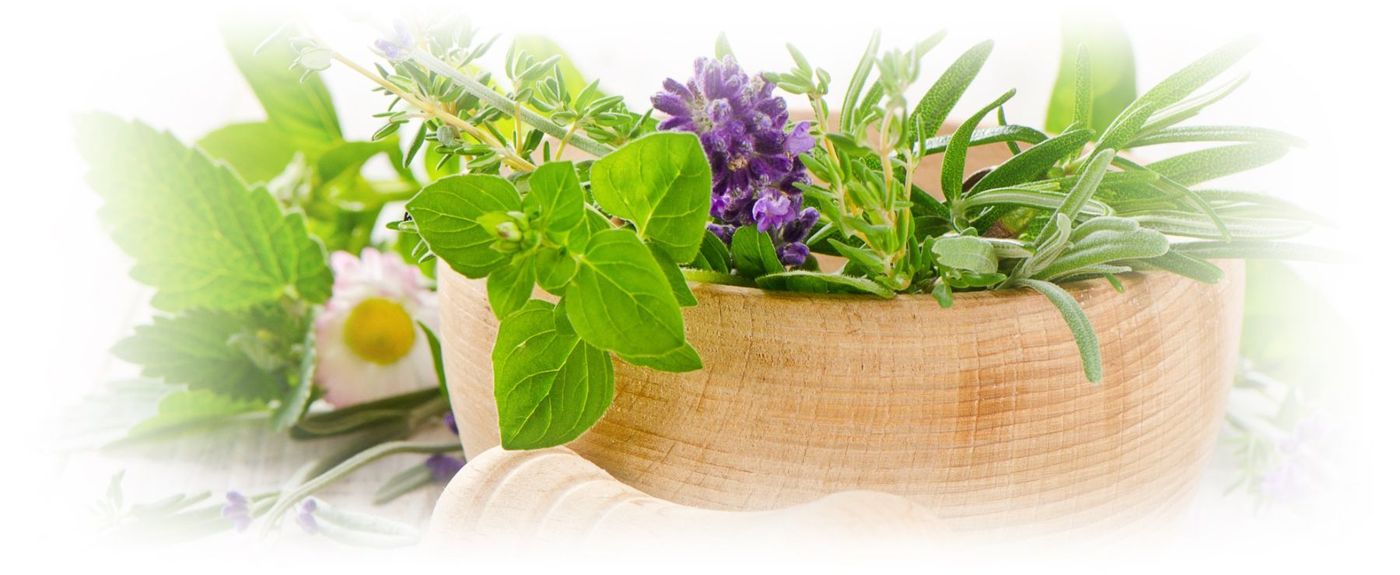 Frische Kräuter – Lavendel, Oregano und Rosmarin – in einer Holzschale